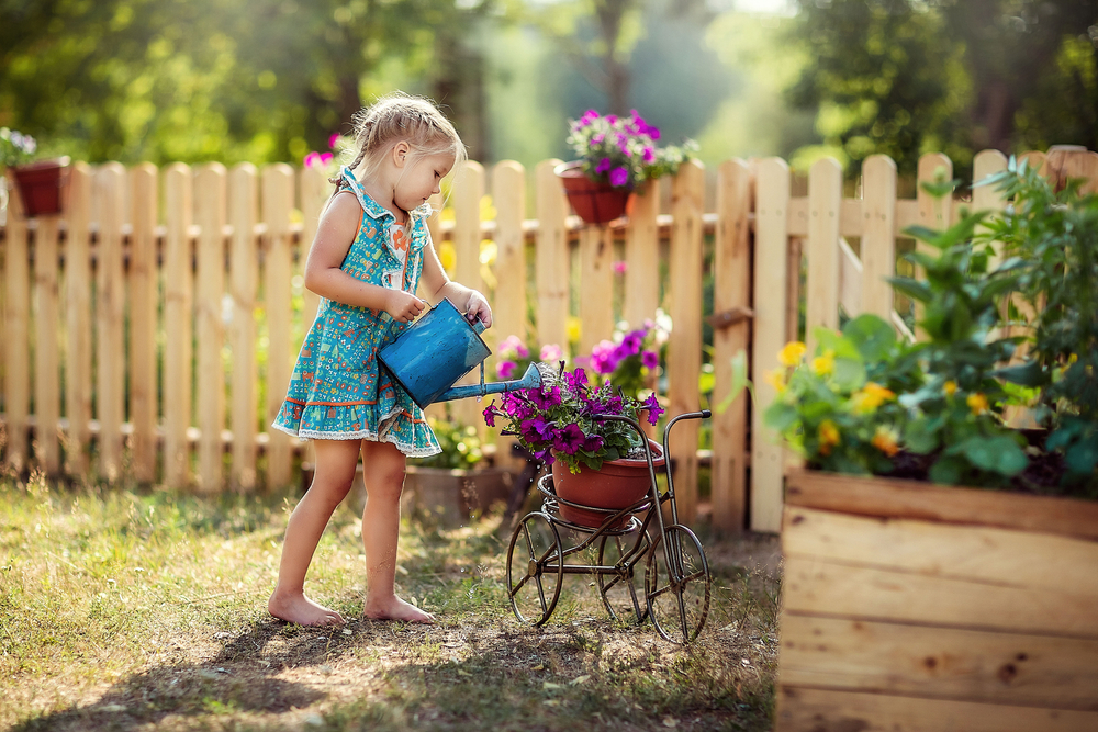 Fence Sales of Sycamore. Young girl with a blue watering can standing by a fence and watering a pot of purple pansies.